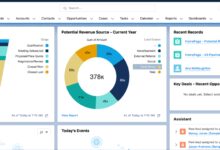 Salesforce CRM cost